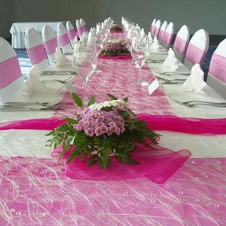 Primavera & Congress Centre 4* Πίλζεν
